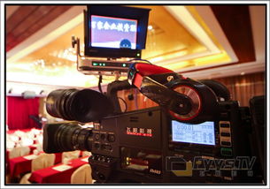 專業服務助力大型活動 攝影攝像、設備租賃與禮儀服務全方位解決方案